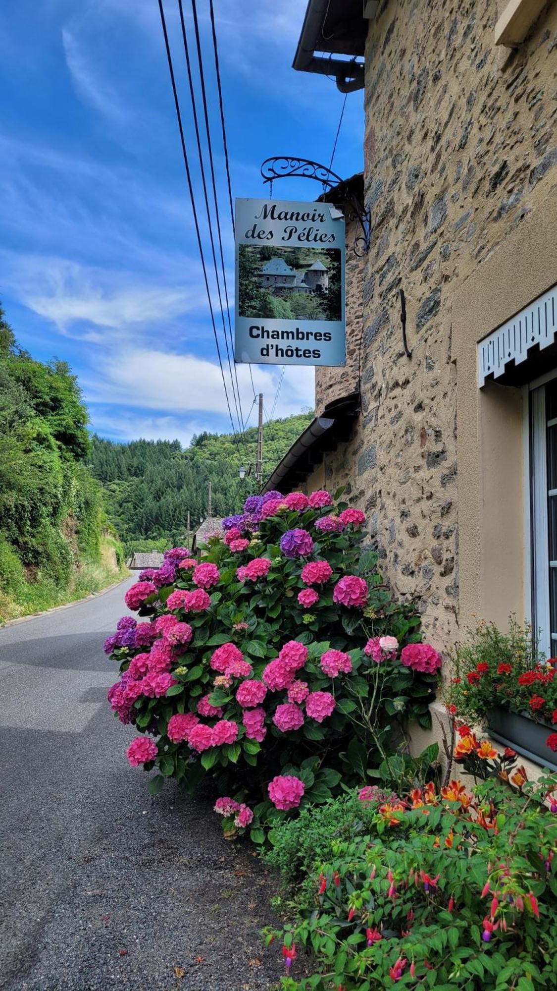 Manoir Des Pelies Spa Conques Buitenkant foto